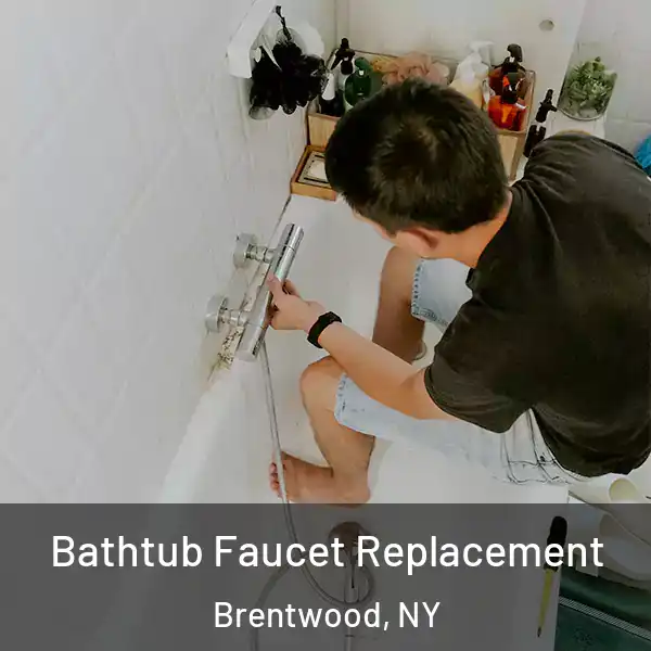  Bathtub Faucet Replacement Brentwood, NY