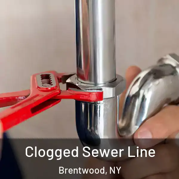  Clogged Sewer Line Brentwood, NY