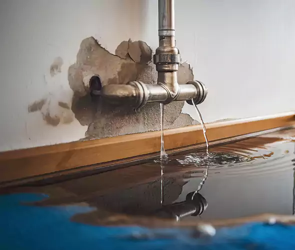 Professional Water Damage Restoration Experts in Brentwood, NY — Fast, Reliable & Certified
