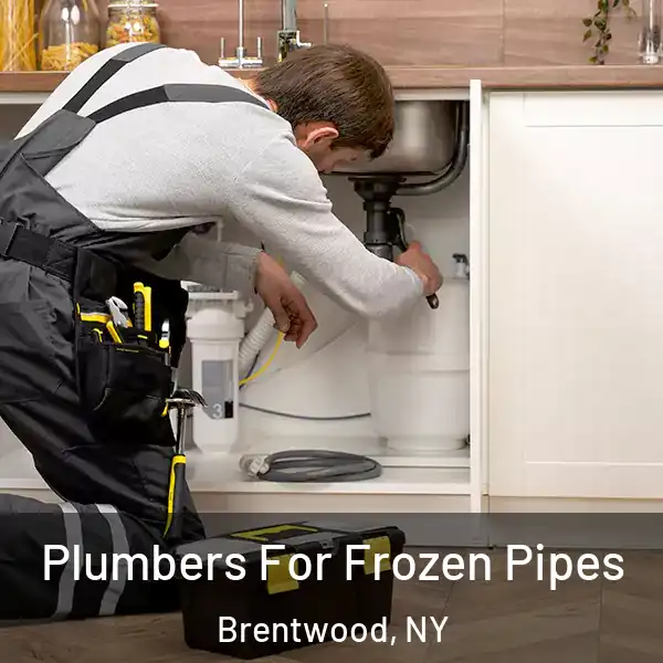  Plumbers For Frozen Pipes Brentwood, NY