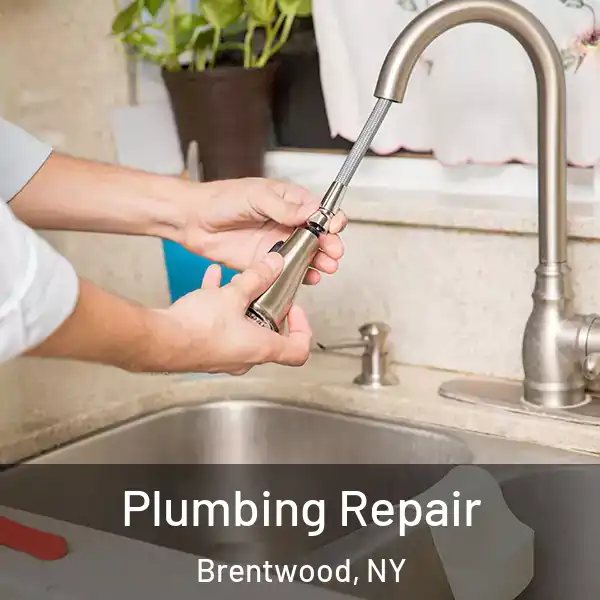  Plumbing Repair Brentwood, NY
