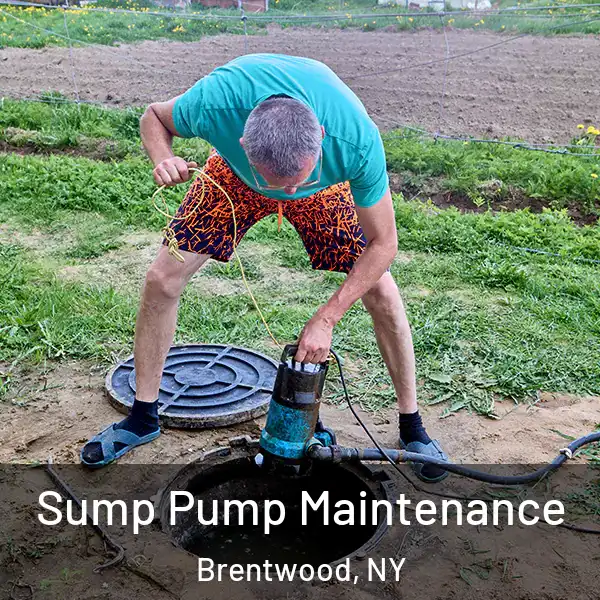  Sump Pump Maintenance Brentwood, NY