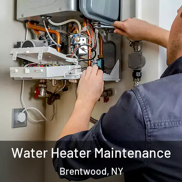  Water Heater Maintenance Brentwood, NY